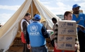 UNHCR work_0.jpg